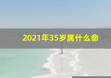 2021年35岁属什么命