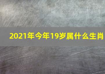 2021年今年19岁属什么生肖