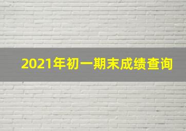 2021年初一期末成绩查询