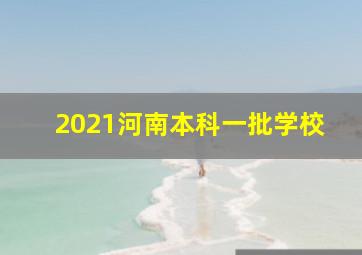 2021河南本科一批学校