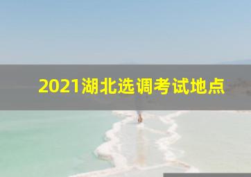 2021湖北选调考试地点