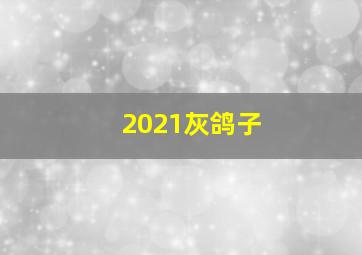 2021灰鸽子