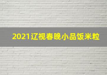 2021辽视春晚小品饭米粒