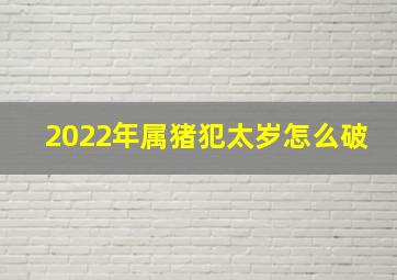 2022年属猪犯太岁怎么破