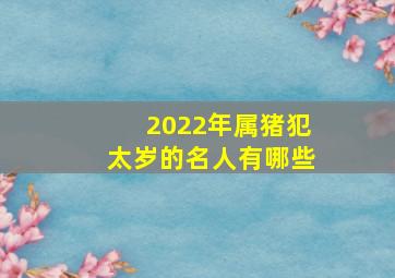 2022年属猪犯太岁的名人有哪些