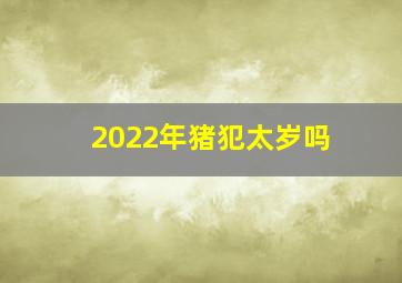 2022年猪犯太岁吗