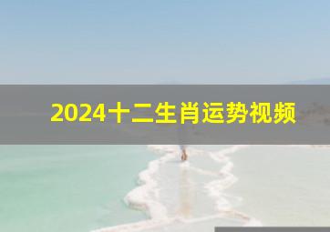 2024十二生肖运势视频