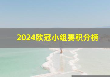 2024欧冠小组赛积分榜