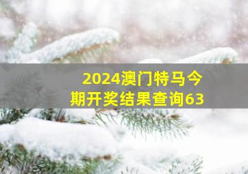 2024澳门特马今期开奖结果查询63