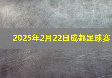 2025年2月22日成都足球赛