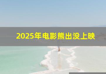 2025年电影熊出没上映