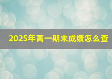 2025年高一期末成绩怎么查