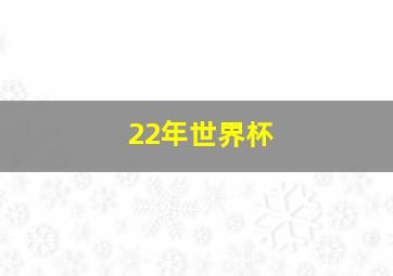 22年世界杯