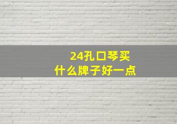 24孔口琴买什么牌子好一点