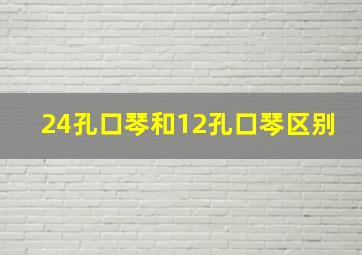 24孔口琴和12孔口琴区别