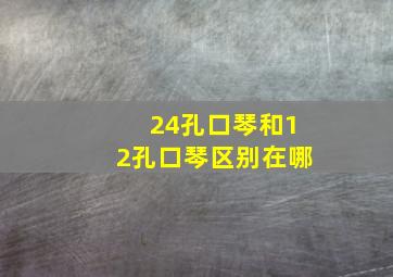 24孔口琴和12孔口琴区别在哪