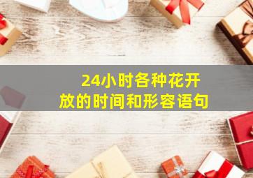 24小时各种花开放的时间和形容语句