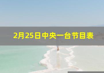 2月25日中央一台节目表