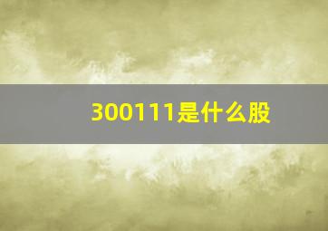 300111是什么股