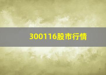 300116股市行情