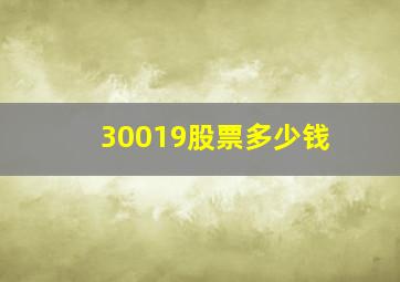 30019股票多少钱