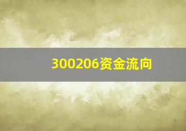 300206资金流向