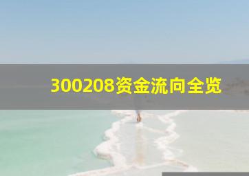 300208资金流向全览