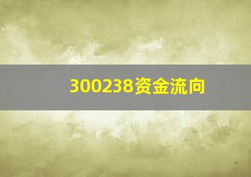 300238资金流向