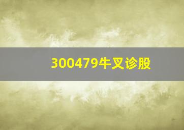 300479牛叉诊股