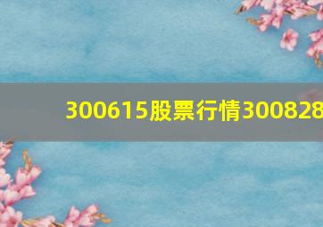 300615股票行情300828