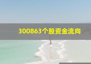 300863个股资金流向