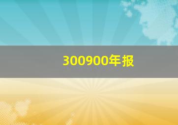 300900年报