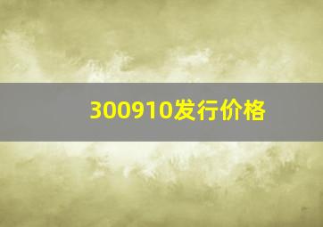 300910发行价格