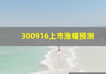 300916上市涨幅预测