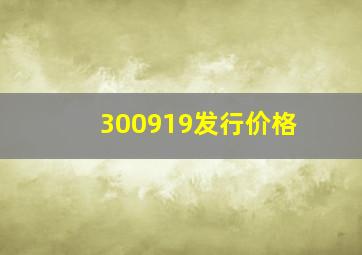 300919发行价格