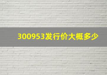 300953发行价大概多少