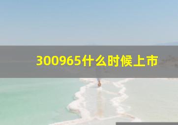 300965什么时候上市