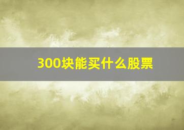 300块能买什么股票