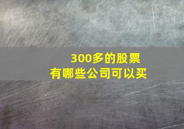 300多的股票有哪些公司可以买