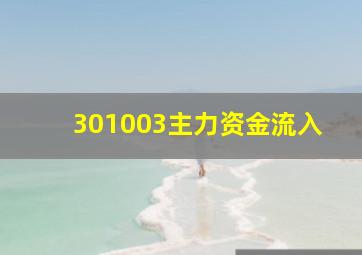 301003主力资金流入