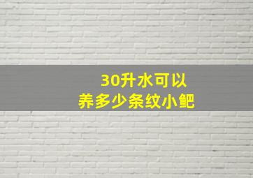 30升水可以养多少条纹小鲃