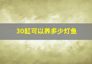 30缸可以养多少灯鱼