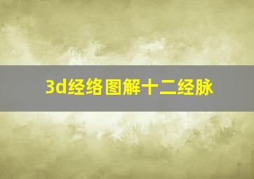 3d经络图解十二经脉