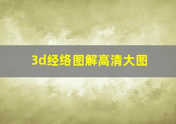 3d经络图解高清大图