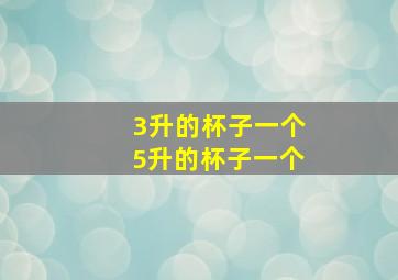 3升的杯子一个5升的杯子一个