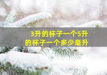 3升的杯子一个5升的杯子一个多少毫升