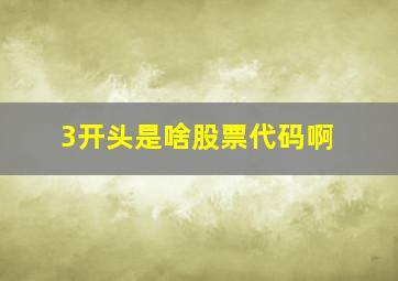 3开头是啥股票代码啊