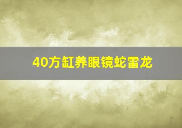 40方缸养眼镜蛇雷龙