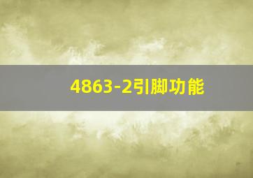 4863-2引脚功能