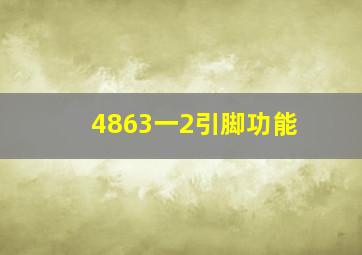 4863一2引脚功能